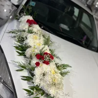 دیزاین ماشین عروس