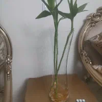 گل بامبو