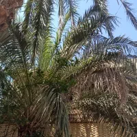 اجاره آپارتمان
