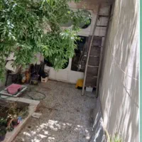 فروشی-خانه