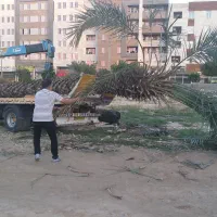 جرثقیل. امداد.کفی شهر جم|خدمات حمل و نقل|جم, |دیوار