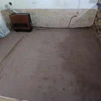 موکت پالاز 12متری|موکت|شیراز, شهرک مهدی‌آباد|دیوار