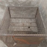 قفس مرغ  حیوانات|لوازم جانبی حیوانات|اسکو, |دیوار