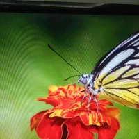 کیس سرعت بالا و قوی