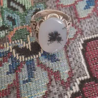 انگشتر شجر بوته ای