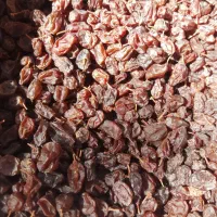 کشمش، سایه خشک، مویز، شیره انگور فرخی|خوردنی و آشامیدنی|اسدآباد, |دیوار