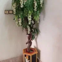 درختچه گل/پایه گل