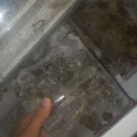 سبزی خورشتی خوزستان،رامهرمز