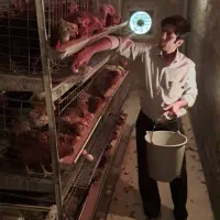 تخم مرغ بومی اصل گلپایگان|خوردنی و آشامیدنی|اصفهان, لاله|دیوار