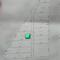 زمین درخیابان ولیعصر شورقلعه چسب بافت سرمایه گذاری