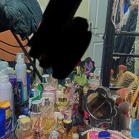 تخت دوطبقه فرفورژه با میز ارایش