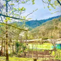 از شهر فرار کن بیا اینجا حال خوب تضمینی