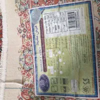 قالیچه ماشینی|فرش|زاهدان, |دیوار