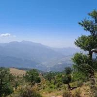 ادمین اینستاگرام