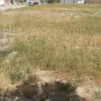 فروش-امتیاز-زمین-های-دادگستری-مرودشت-میدان-آب