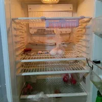 یخچال فریزر هیمالیا|یخچال و فریزر|تهران, جوانمردان (اندیشه)|دیوار