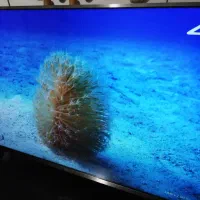 تلویزیون شیامی هوشمند و 4k|تلویزیون و پروژکتور|رشت, رودباری|دیوار