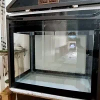 اکواریوم|ماهی|شیراز, پانصد دستگاه ارتش|دیوار