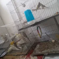 سهره. خانا