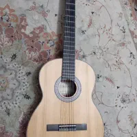 گیتار کاملا نو