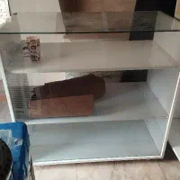 قفسه MDF|کتابخانه، شلف، قفسههای دیواری|کوهدشت, |دیوار
