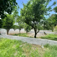زمین ۲۹۰متری/مدارک کامل/ویو ابدی/سرمایه گذاری|فروش زمین و ملک کلنگی|محمودآباد, |دیوار