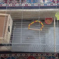 قفس پرنده به همراه لانه