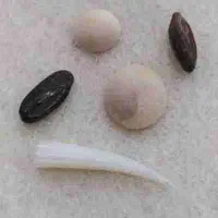 مهره تضمینی اصلی|بدلیجات|زابل, |دیوار