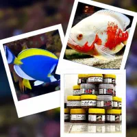 ۲۰۰۰ قلم لوازم اکواریوم اب شوروشیرین