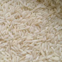 برنج بیرانشهر