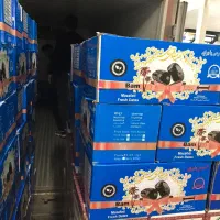 خرما درجه یک|خوردنی و آشامیدنی|تنکابن, |دیوار