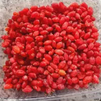 آب زرشک طبیعی و آب انار خالص و طبیعی|عمدهفروشی|خرمشهر, |دیوار