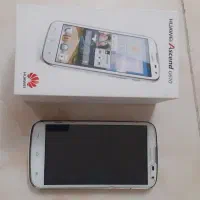 گوشی