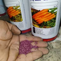 بذر سبزیجات بذر تره بذر یونجه بذر شوید بذر باقالا|گل و گیاه طبیعی|اصفهان, سلطانآباد|دیوار