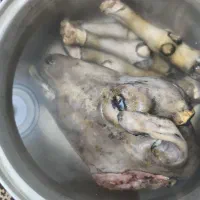 یک دست کله وپاچه توشتیر