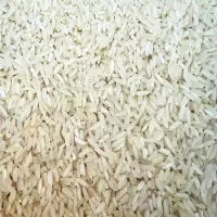 فروش برنج عنبربو، فجر و چمپا با کیفیت|خوردنی و آشامیدنی|شیراز, نصر|دیوار