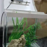 آکواریوم دلسا k320