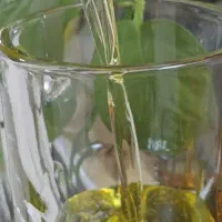 روغن گالن شده طیوری