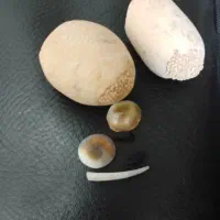 کتاب دعا کلیمی سنگ قدیمی همراه بادعا آینی بینی