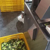 دستگاه بسته بندی عدیلی