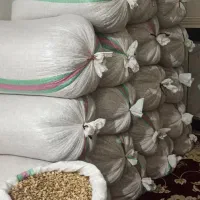 تخم هندوانه|خوردنی و آشامیدنی|کلاله, |دیوار