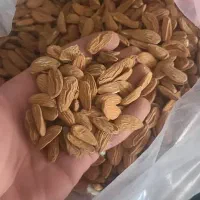 عمده فروشی|خوردنی و آشامیدنی|زاینده رود, |دیوار