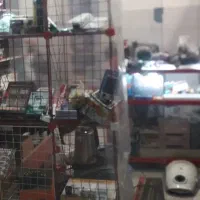 فرو مغازه در شاهین ویلا جواد اباد پاساژ ایفل همکف|فروش مغازه و غرفه|کرج, شاهین‌ویلا|دیوار