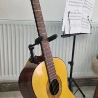 گیتار‌کلاسیک|گیتار، بیس، امپلیفایر|اشتهارد, |دیوار