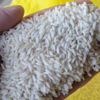 برنج قلق چی|خوردنی و آشامیدنی|دزفول, |دیوار