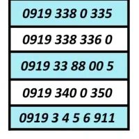 0919.550.79.80|سیمکارت|تهران, ترمینال غرب|دیوار