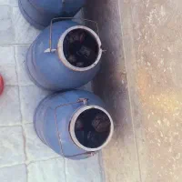 سیر ترشی