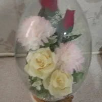 باکس گل نو|گل مصنوعی|قم, شهر قائم|دیوار