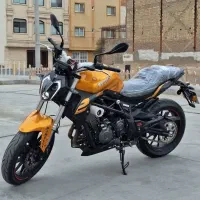 بنلی 300 جفت خشک