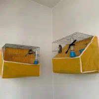 سهره نر و ماده